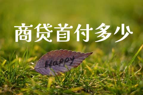 商贷首付多少_https://cj002.lansai.wang_理财问答_第1张