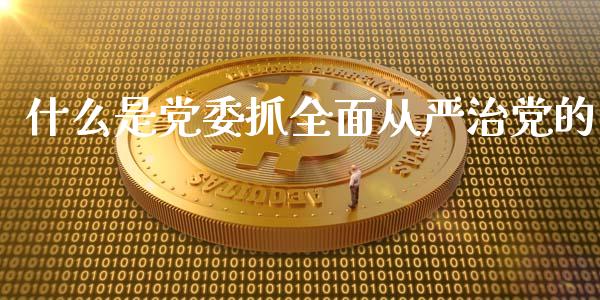 什么是党委抓全面从严治党的_https://cj002.lansai.wang_会计问答_第1张