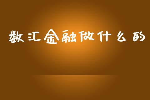 数汇金融做什么的_https://cj002.lansai.wang_财经问答_第1张