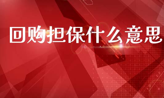 回购担保什么意思_https://cj002.lansai.wang_财经百问_第1张