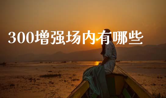 300增强场内有哪些_https://cj002.lansai.wang_理财问答_第1张