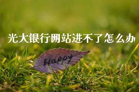 光大银行网站进不了怎么办_https://cj002.lansai.wang_金融问答_第1张