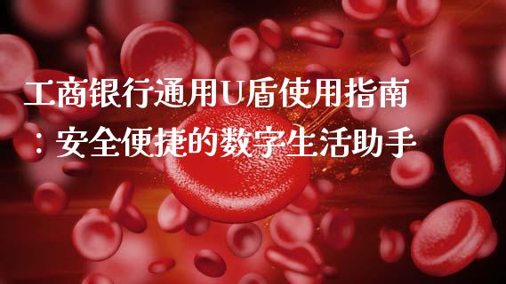 工商银行通用U盾使用指南：安全便捷的数字生活助手_https://cj002.lansai.wang_会计问答_第1张