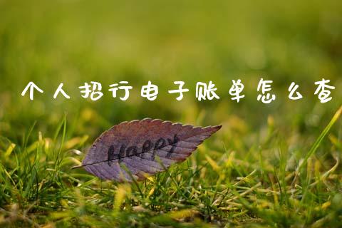 个人招行电子账单怎么查_https://cj002.lansai.wang_金融问答_第1张
