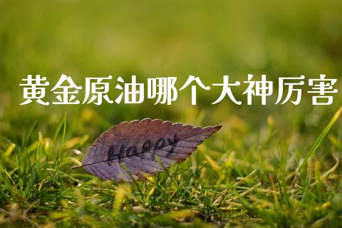 黄金原油哪个大神厉害_https://cj002.lansai.wang_财经问答_第1张