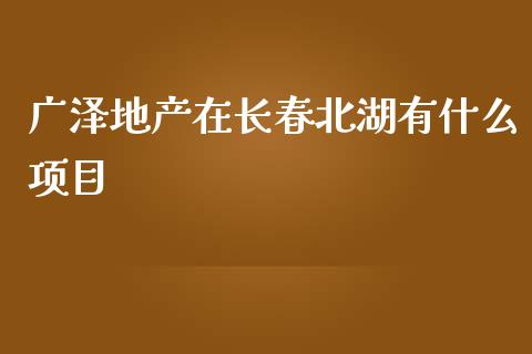 广泽地产在长春北湖有什么项目_https://cj002.lansai.wang_理财问答_第1张