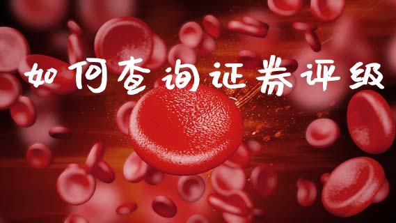 如何查询证券评级_https://cj002.lansai.wang_股市问答_第1张