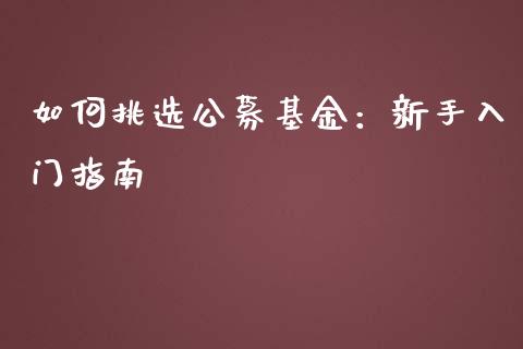如何挑选公募基金：新手入门指南_https://cj002.lansai.wang_财经百问_第1张