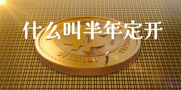 什么叫半年定开_https://cj002.lansai.wang_金融问答_第1张
