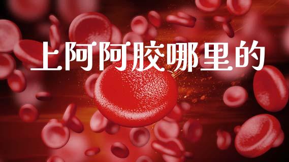 上阿阿胶哪里的_https://cj002.lansai.wang_期货问答_第1张