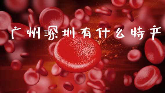广州深圳有什么特产_https://cj002.lansai.wang_金融问答_第1张