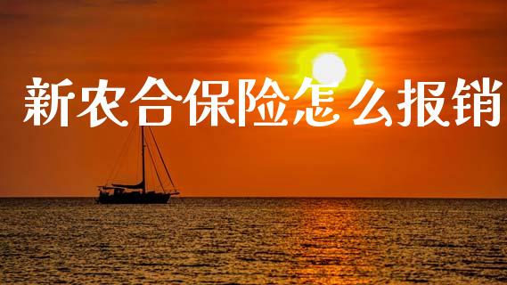 新农合保险怎么报销_https://cj002.lansai.wang_保险问答_第1张