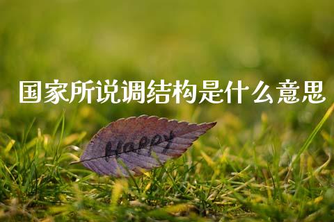 国家所说调结构是什么意思_https://cj002.lansai.wang_财经问答_第1张