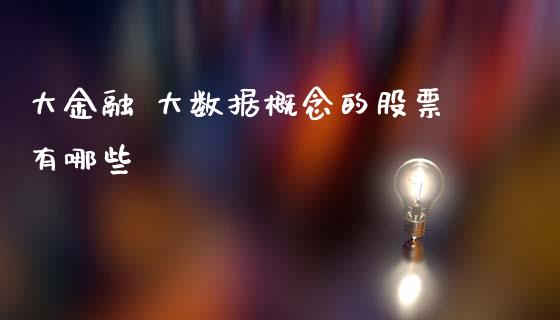 大金融 大数据概念的股票有哪些_https://cj002.lansai.wang_股市问答_第1张
