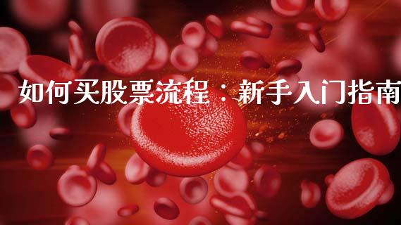 如何买股票流程：新手入门指南_https://cj002.lansai.wang_财经问答_第1张