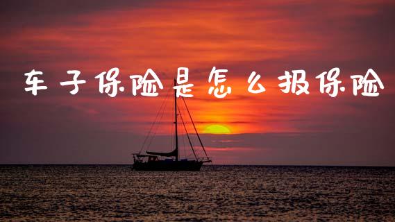 车子保险是怎么报保险_https://cj002.lansai.wang_保险问答_第1张