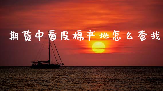 期货中看皮棉产地怎么查找_期货问答_第1张_财经百问网 期货中看皮棉产地怎么查找_https://cj002.lansai.wang_期货问答_第1张