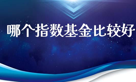 哪个指数基金比较好_https://cj002.lansai.wang_会计问答_第1张