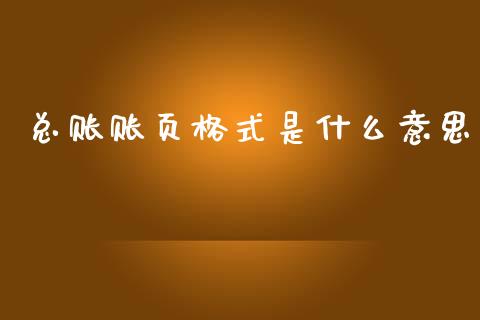 总账账页格式是什么意思_https://cj002.lansai.wang_会计问答_第1张