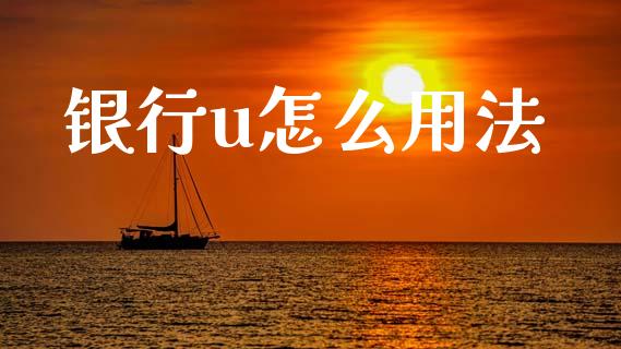 银行u怎么用法_https://cj002.lansai.wang_金融问答_第1张