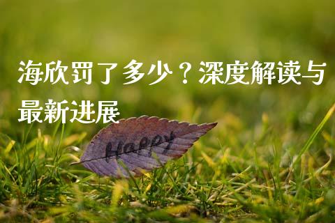 海欣罚了多少？深度解读与最新进展_https://cj002.lansai.wang_期货问答_第1张