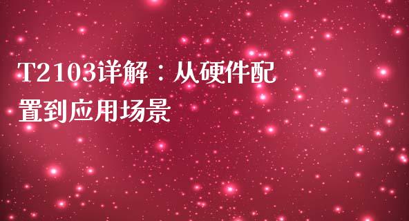 T2103详解：从硬件配置到应用场景_https://cj002.lansai.wang_金融问答_第1张