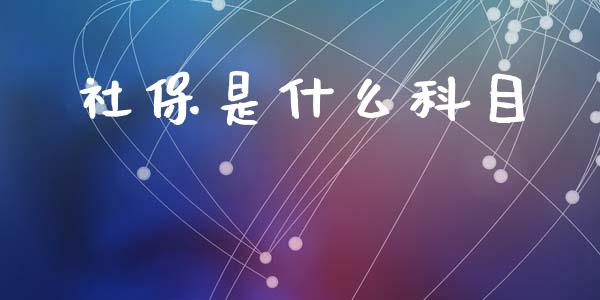 社保是什么科目_https://cj002.lansai.wang_会计问答_第1张