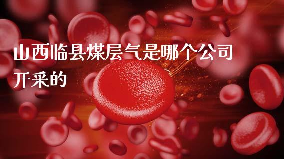 山西临县煤层气是哪个公司开采的_https://cj002.lansai.wang_财经问答_第1张