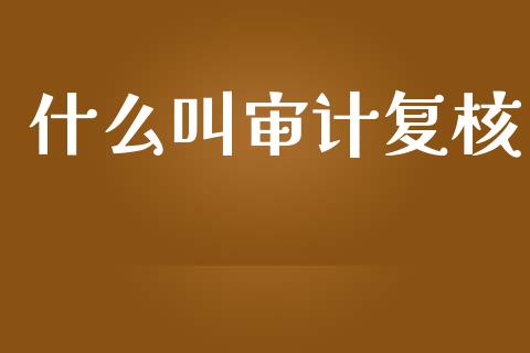 什么叫审计复核_https://cj002.lansai.wang_会计问答_第1张