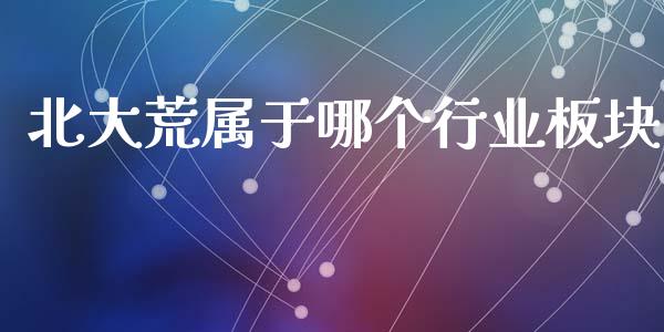 北大荒属于哪个行业板块_https://cj002.lansai.wang_股市问答_第1张
