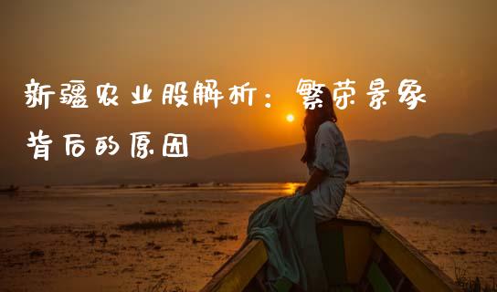 新疆农业股解析：繁荣景象背后的原因_https://cj002.lansai.wang_会计问答_第1张