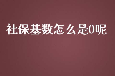 社保基数怎么是0呢_https://cj002.lansai.wang_保险问答_第1张