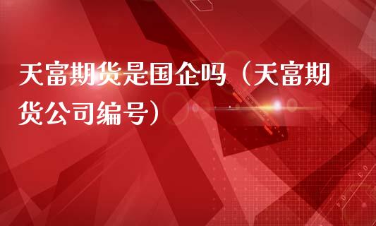 天富期货是国企吗（天富期货公司编号）_https://cj002.lansai.wang_股市问答_第1张