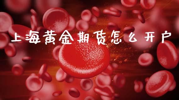 上海黄金期货怎么开户_https://cj002.lansai.wang_金融问答_第1张