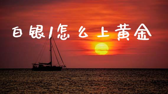 白银1怎么上黄金_https://cj002.lansai.wang_财经问答_第1张