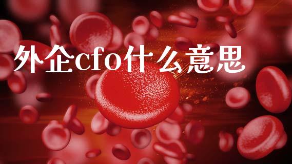 外企cfo什么意思_https://cj002.lansai.wang_会计问答_第1张