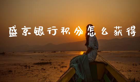 盛京银行积分怎么获得_https://cj002.lansai.wang_金融问答_第1张