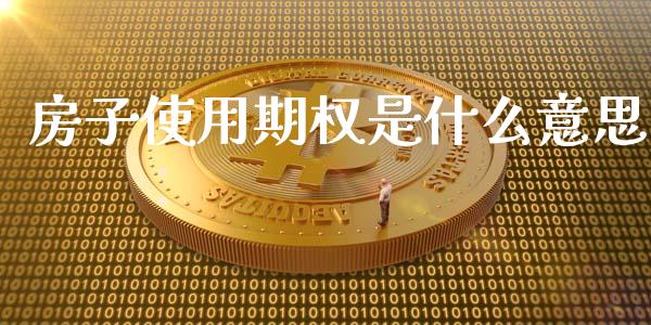 房子使用期权是什么意思_理财问答_第1张_财经百问网 房子使用期权是什么意思_https://cj002.lansai.wang_理财问答_第1张