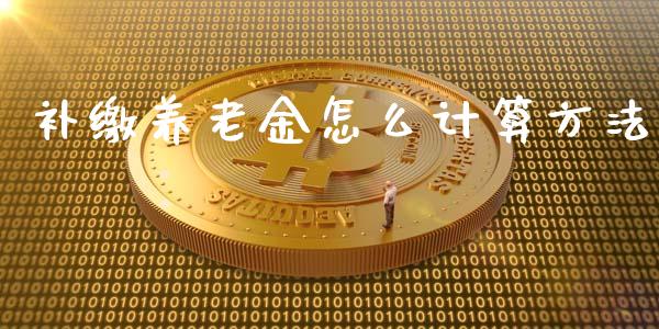 补缴养老金怎么计算方法_https://cj002.lansai.wang_保险问答_第1张