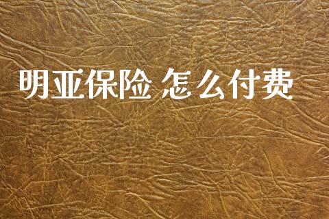 明亚保险 怎么付费_https://cj002.lansai.wang_保险问答_第1张
