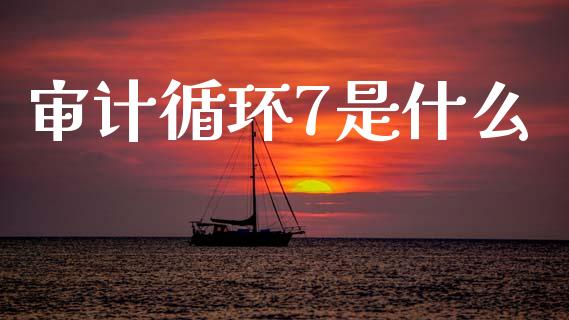审计循环7是什么_https://cj002.lansai.wang_会计问答_第1张