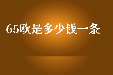 65欧是多少钱一条_https://cj002.lansai.wang_财经问答_第1张