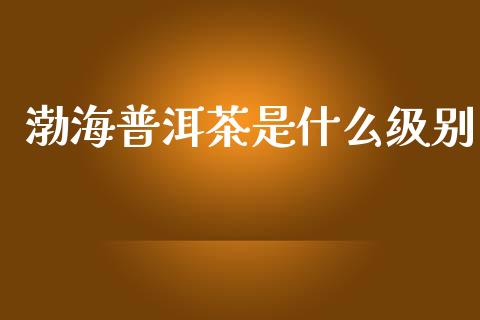 渤海普洱茶是什么级别_https://cj002.lansai.wang_财经问答_第1张