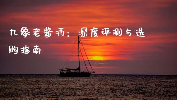 九象老酱酒：深度评测与选购指南_https://cj002.lansai.wang_股市问答_第1张