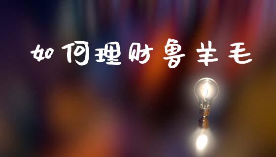 如何理财鲁羊毛_https://cj002.lansai.wang_财经问答_第1张