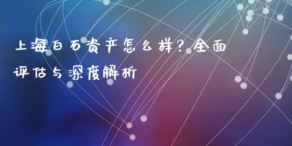 上海白石资产怎么样？全面评估与深度解析_https://cj002.lansai.wang_金融问答_第1张
