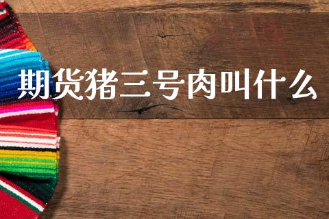 期货猪三号肉叫什么_股市问答_第1张_财经百问网 期货猪三号肉叫什么_https://cj002.lansai.wang_股市问答_第1张