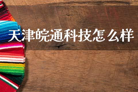 天津皖通科技怎么样_https://cj002.lansai.wang_财经百问_第1张