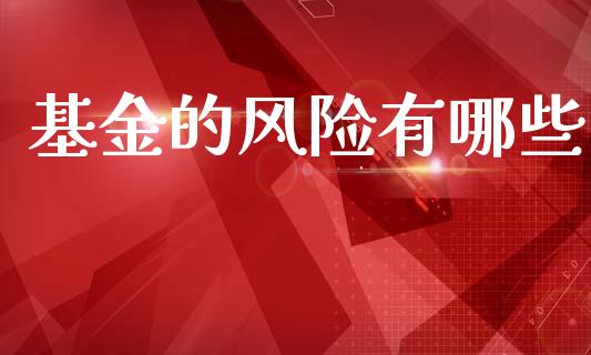 基金的风险有哪些_https://cj002.lansai.wang_金融问答_第1张