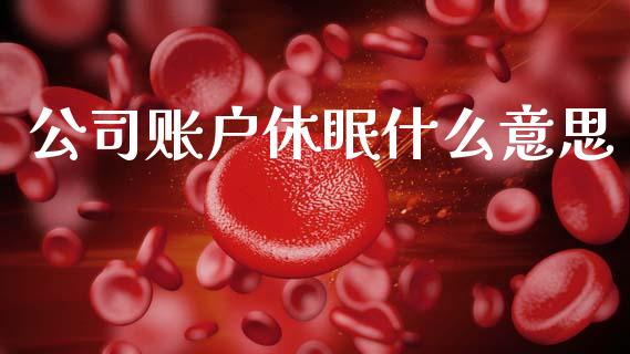 公司账户休眠什么意思_https://cj002.lansai.wang_财经百问_第1张